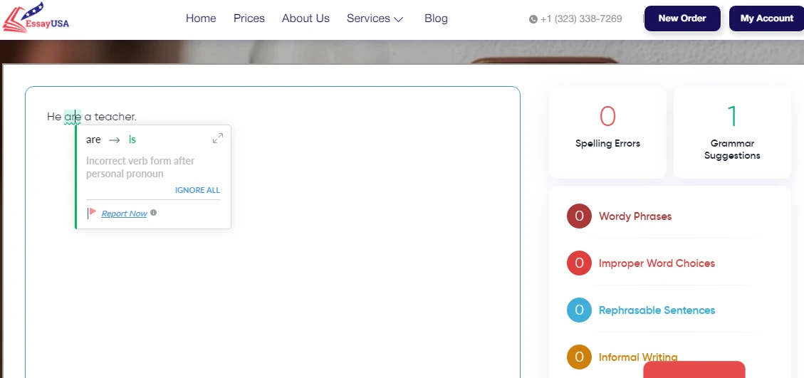 EssayUSA grammar checking tool